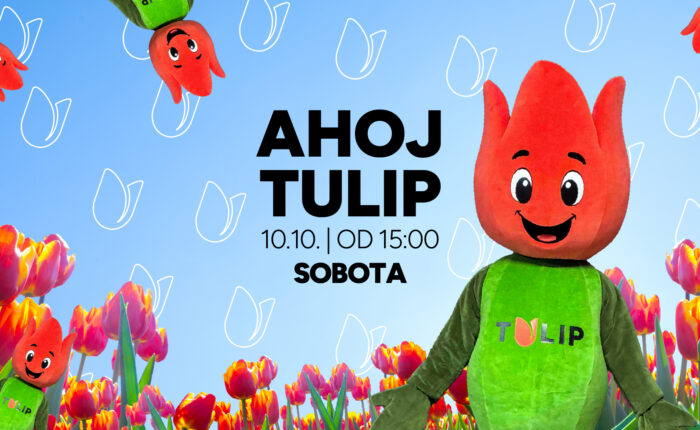 AHOJ TULIP