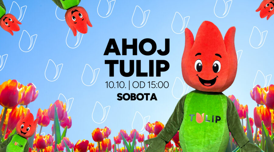 AHOJ TULIP